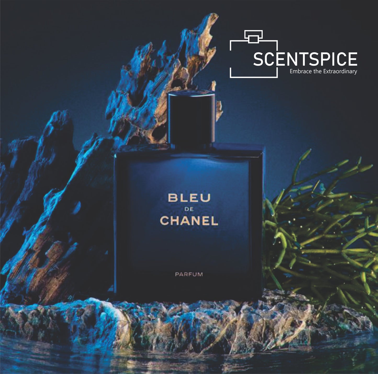 Bleu De Chanel (PARFUM) Version